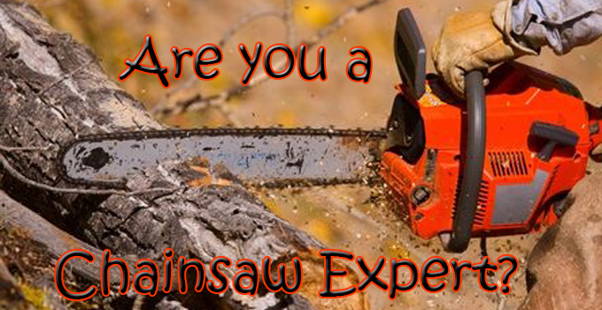 Are you a chainsaw expert?