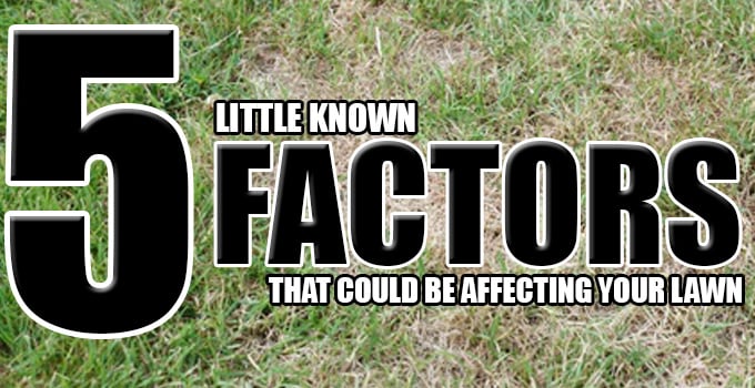 5-little-known-factors