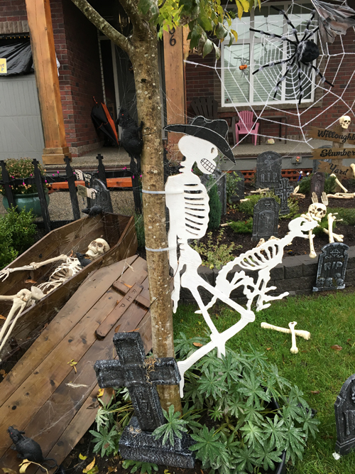 halloween yard