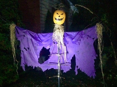 halloween yard